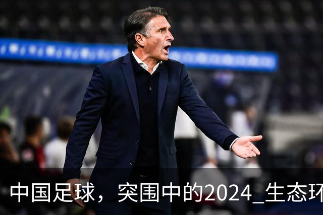 中国足球，突围中的2024 生态环境将实现好转