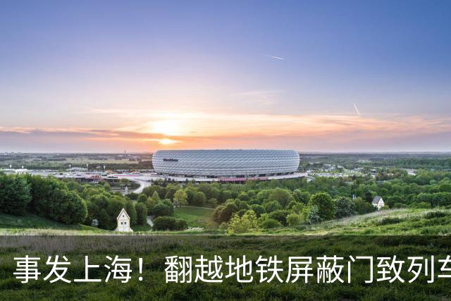 事发上海！翻越地铁屏蔽门致列车延误，乘客张某林被行政处罚