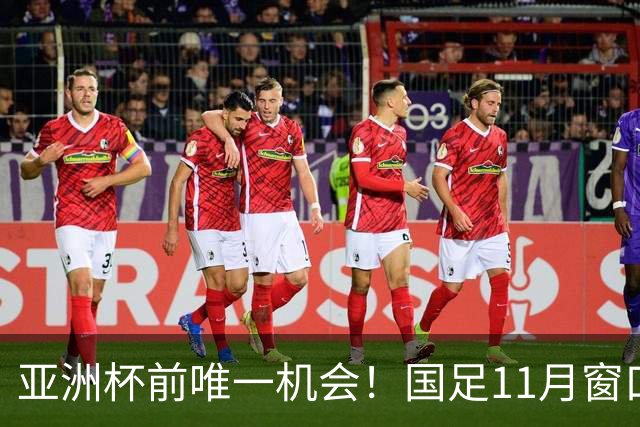 亚洲杯前唯一机会！国足11月窗口战大马巴林，邵佳一能重拾自信吗