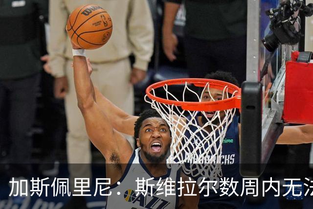 加斯佩里尼：斯维拉尔数周内无法出战，希望罗马不再有新的减员
