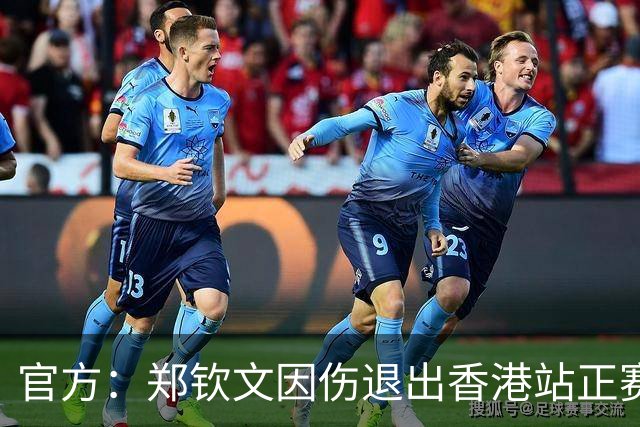 官方：郑钦文因伤退出香港站正赛、东京站资格赛，2026赛季已结束