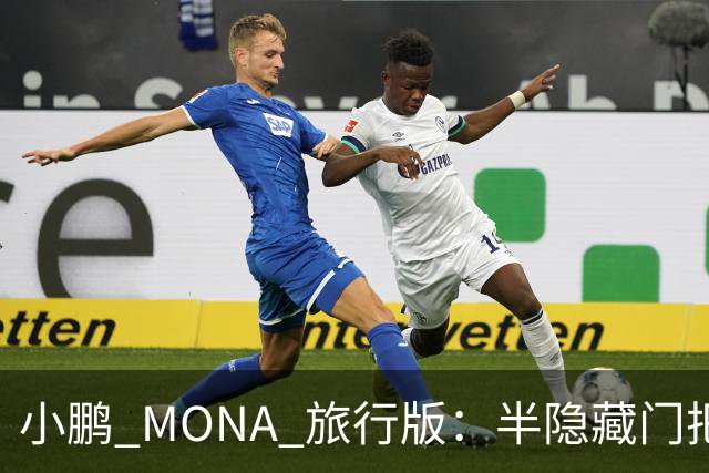 小鹏 MONA 旅行版：半隐藏门把手 + 瓦罐车身，预计 12 万起