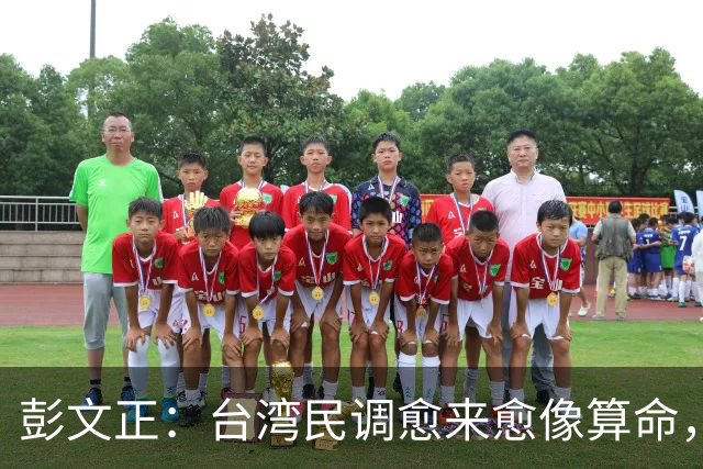 彭文正：台湾民调愈来愈像算命，反而害了沈伯洋