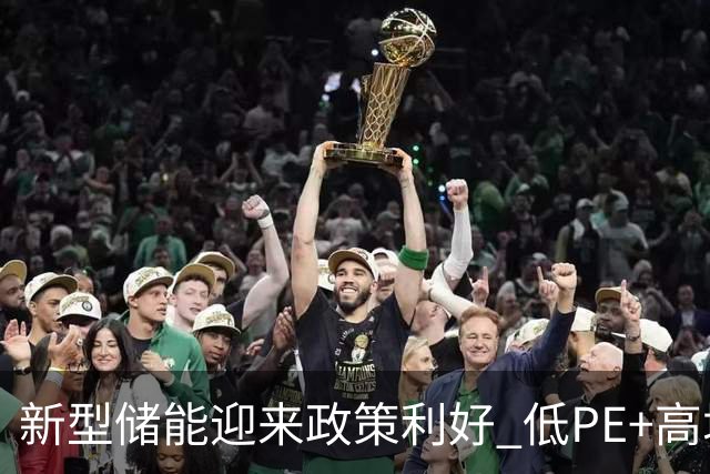 新型储能迎来政策利好 低PE+高增长潜力股出炉