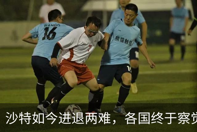 沙特如今进退两难，各国终于察觉到不对劲：中国最开始的选择没错