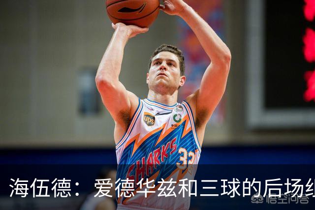 海伍德：爱德华兹和三球的后场组合能让森林狼成为西部第三