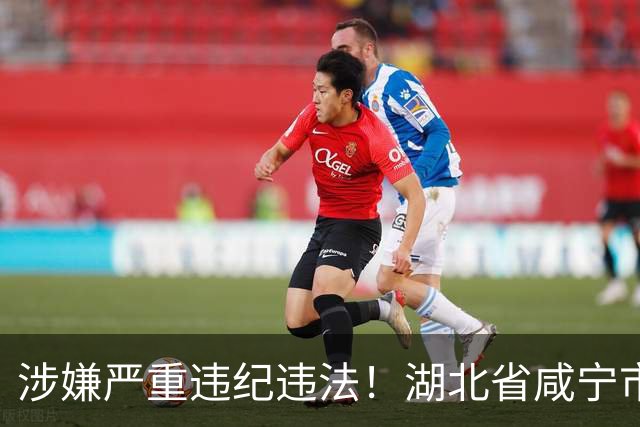 涉嫌严重违纪违法！湖北省咸宁市政协副主席刘中英，任上被查；曾任咸宁市水利和湖泊局局长，咸宁市通城县委书记、县政协主席等职务