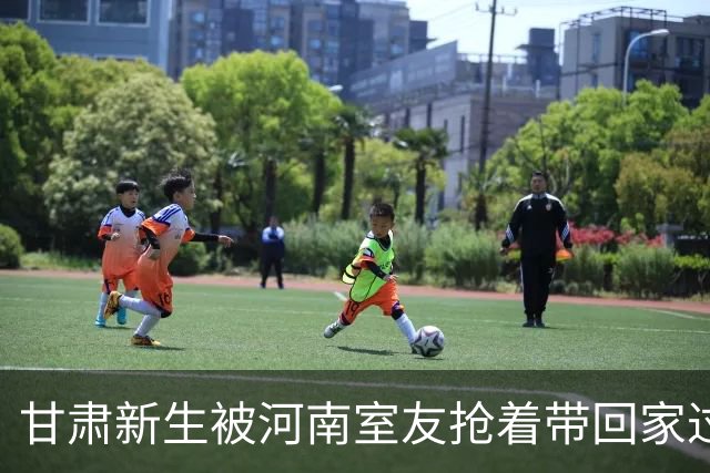 甘肃新生被河南室友抢着带回家过中秋，饭桌上的一幕让他“社死”