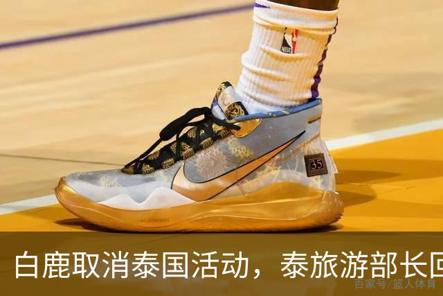 白鹿取消泰国活动，泰旅游部长回应惹争议