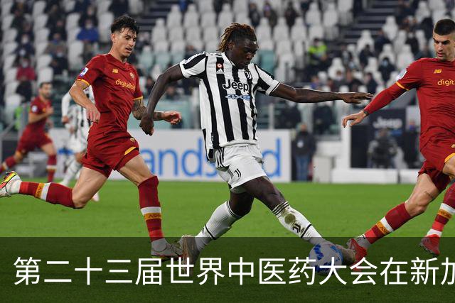 第二十三届世界中医药大会在新加坡隆重开幕
