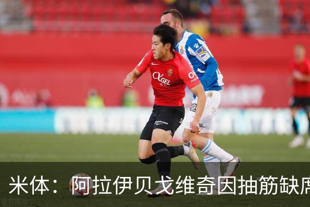 米体：阿拉伊贝戈维奇因抽筋缺席波黑末战，回尤文后接受检查