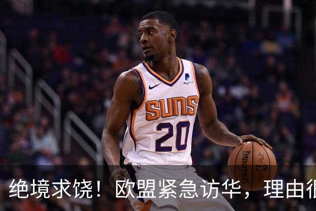 绝境求饶！欧盟紧急访华，理由很直接，阿斯麦再撑不住就要崩盘了