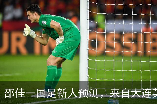 邵佳一国足新人预测，来自大连英博的他有望入选，值得期待