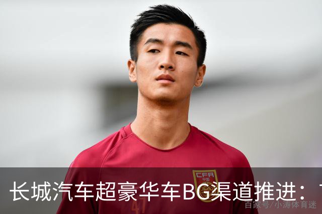 长城汽车超豪华车BG渠道推进：首批三店设计招标启动 两款车型同步筹划出海