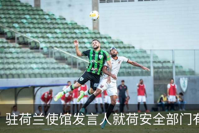 驻荷兰使馆发言人就荷安全部门有关报告涉华内容发表谈话