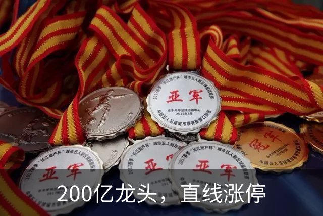 200亿龙头，直线涨停